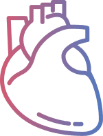 Heart illustration